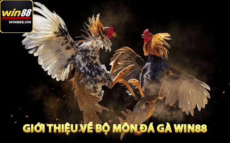 Giới thiệu về bộ môn đá gà WIN88